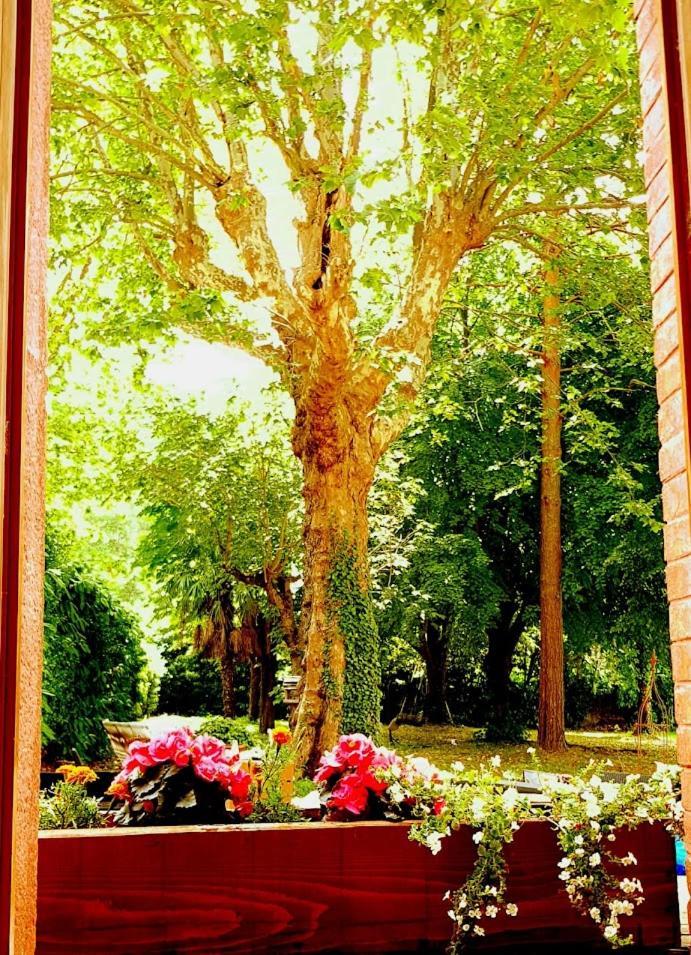 La Scierie Bed & Breakfast กีญ็อง ภายนอก รูปภาพ
